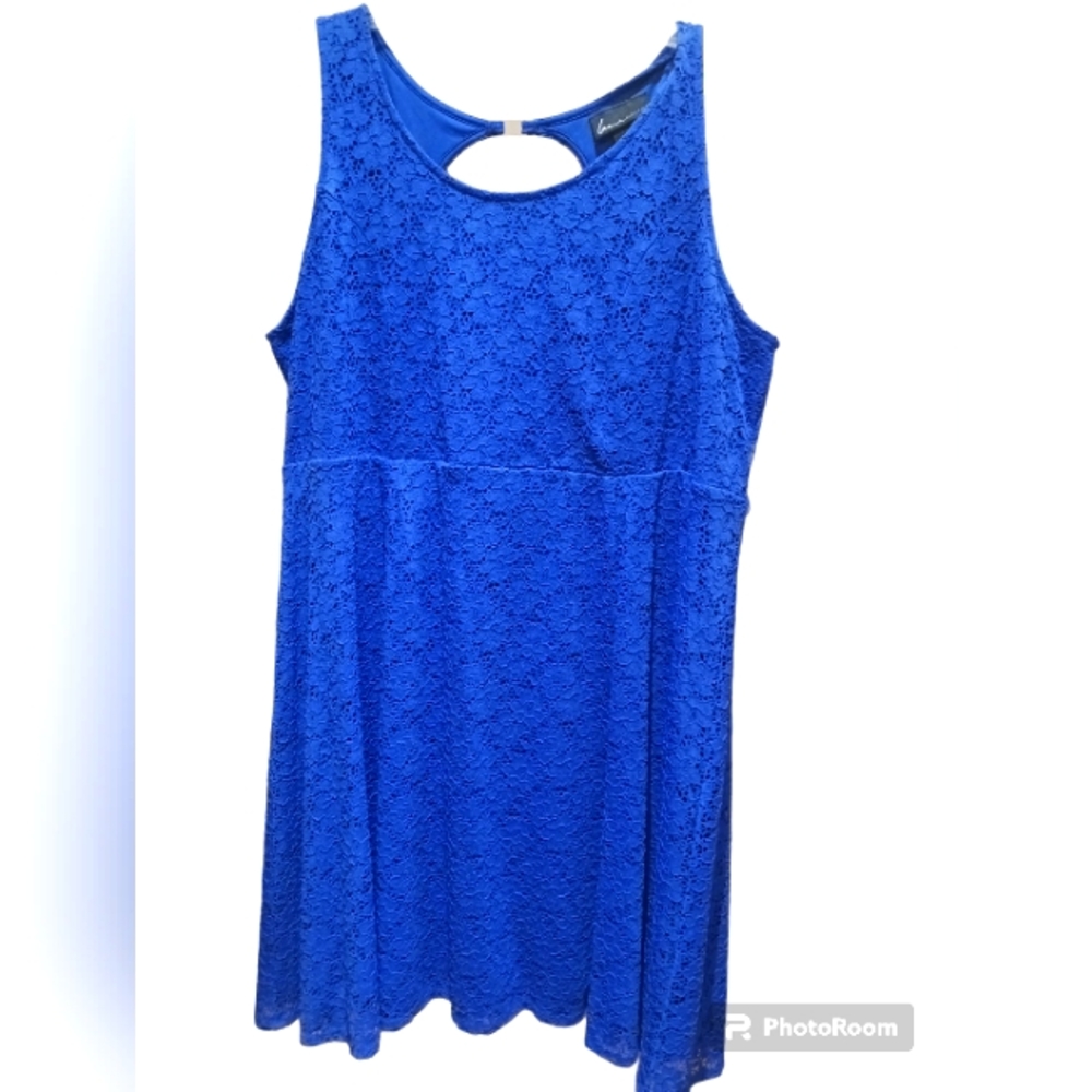 LaneBryant Lacecovered Dress NWOT Size24